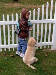 Boy With Down Syndrome Autism Has A Bond With His Dog That Proves Animals Are