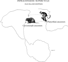 Image result for Paratheria