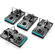 If you are reading this article, probably your home is already invaded by an unwelcome guest. Top 6 Best Rat Traps Updated For 2021