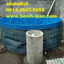 Jual Kolam Terpal Bioflok Bundar Bulat Kotak Abatastore Com Bibit Tanaman Unggul Dan Pisau Dapur Anggur Import Klengkeng Alpukat Durian Mangga Rambutan Sawo Kelapa Petai Bidara Tin Mint Zaitun Madu Pahit Hot