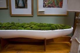 Modern Moss Table Planter Moss Garden Houseplants Indoor Garden Pottery