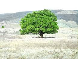 Check spelling or type a new query. Sertao Nordestino Photos Facebook