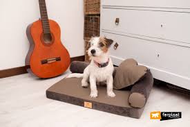 Il formato che vi suggeriamo per la stampa è l'a4, quello tipico dei fogli da quaderno grande. Freddo E Animali Cuscini Della Linea Tweed Per Scaldare Cani E Gatti