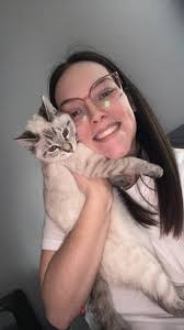 Animals Lost & Found Springfield OH & Surrounding Areas