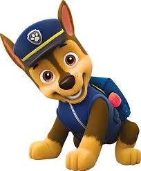 Paw Patrol Condiment Labels Transparent Paw Patrol Paw Patrol Birthday Shirt Paw Patrol Decorations Paw Patrol Party