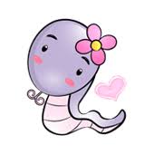 Year Of The Snake Compatibility Horoscope Personality Chinese Zodiac Sign