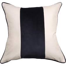 Maybe you would like to learn more about one of these? Center Stripe Blush Black Velvet Throw Pillow