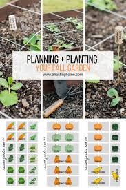 Maybe you would like to learn more about one of these? Planning And Planting Our Fall Garden A Hosting Home Fall Garden Vegetables Fall Garden Planting Vegetable Garden Raised Beds