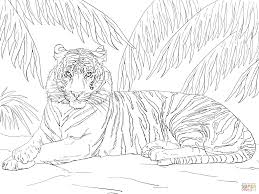 Tiger coloring pages for adults printable. Tiger Printable Coloring Pages Coloring Home