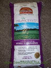 Princess 77 Bermuda Grass Seed Bermuda Grass Seed Bermuda Grass Grass Seed