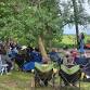 Summer Songs Concert Series