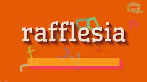How To Say Rafflesia High Quality Voices Youtube