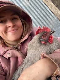 Can eggs be safely mailed via USPS?