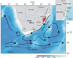 Map of africa showing ocean currents. Schematic Diagram Of Major Surface Currents Around Southern Africa Download Scientific Diagram