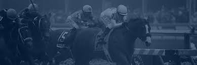 2021 preakness stakes preview and picks. Z3s Skaaoidtnm