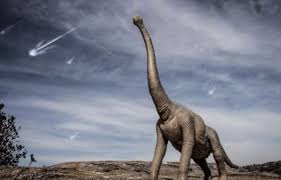 Ver más ideas sobre dinosaurios, dinosaurios infantiles, fiesta de cumpleaños de dinosaurio. Sin Asteroide Los Dinosaurios Habrian Seguido Dominando La Tierra