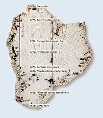 The decay of uranium to lead is not achieved by a single step but rather involves a whole series of different elements, each with its own unique set of chemical properties. Dating Corals Knowing The Ocean Woods Hole Oceanographic Institution