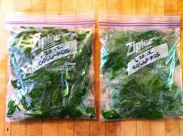 We did not find results for: Harvesting And Preserving Garden Greens Turnip Greens Garden Recipes Canning Recipes