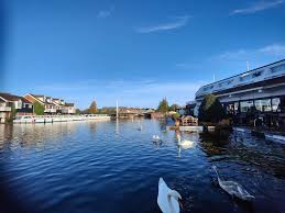 Norfolk Broads Network - Forums