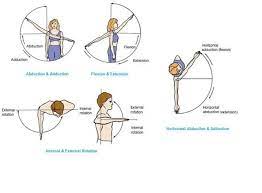 Pin By Eri Vlc On Yoga Theory How To Study Anatomy Shoulder Joint Muscle