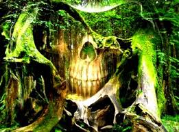 Maybe you would like to learn more about one of these? Enigmele Romaniei In AtenÅ£ia Intregii Lumi PÄdurea Hoia Baciu Locul Cel Mai Bantuit De Pe Glob Triunghiul Bermudelor Al Transilvaniei Secretele Lui Lovendal