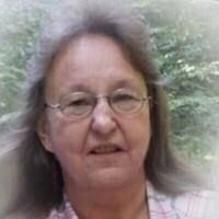 Diana McIntosh Obituary (1952