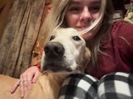 Lost dog named Junior in Louisville, KY