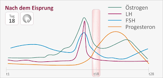 Die periode markiert immer das ende und den anfang des zyklus. Auf Menstruationszyklus Und Eisprung