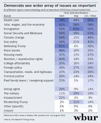 4 Takeaways From Wburs Polling On What Issues Matter Most