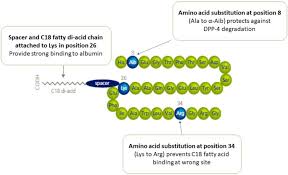 The fda requires manufacturers to assess the cardiovascular risk of all new therapies for type 2 diabetes. A Review On Semaglutide An Oral Glucagon Like Peptide 1 Receptor Agonist In Management Of Type 2 Diabetes Mellitus Springerlink