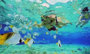 So in that spirit, here are 10 of best snorkeling spots in the world, selected for their unique locations, variety of marine life, and commitment to preserving the underwater world. 11 Best Snorkeling Spots In America Ecowatch