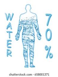 Yes certainly an eyeball might be mostly water while a fat cell might contain mostly fat and only some water. 70 Percent Human Body Water Stock Photo Edit Now 658001371