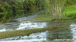 Jun 17, 2021 · the global zika virus testing market is forecast to grow at moderate pace throughout the forecast period of 2021 to 2031. Zika Virus Thailand 2021 à¹„à¸§à¸£ à¸ªà¸‹ à¸à¸² Wie Schutzt Man Sich Thai23