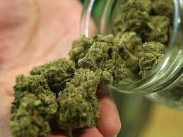 You can get your dose of seaweed from the dove regenerative repair shampoo and conditioner. 7 Wonderful Beauty Benefits Of Marijuana For Skin And Hair Boldsky Com