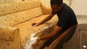 طريقة تنظيف الكنب بمنظف الزجاج شركة الرشيد للخدمات المنزلية