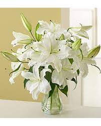 The lilies 'stargazer' white will love a sunny area, the brighter the better; White Stargazer Lilies In Palm Desert Ca Milan S Flowers Gifts