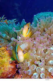 Pin On Mis Fotos Favoritas