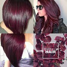 27 cabelos marsala conheca os tons e aprenda como pintar cabelo marsala vinho marsala cabelo cabelo
