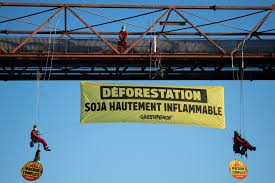 C'est moi ou greenpeace vient de comparer une r6 à une centrale nucléaire ? Saint Nazaire Greenpeace Denonce L Importation De Soja En France
