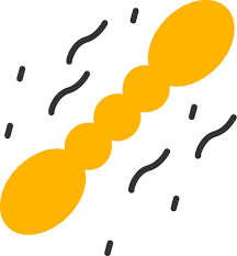 Image result for Staphylococcus Saprophyticus