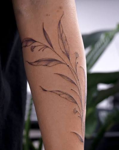 Eucalyptus vine tattoo, half wrap 🫶🏻 thank you sooooo much for trusting me with this one Melita, honestly loved doing this one - it will forever have a place in my heart!