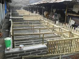 Ukuran kandang bebek pedaging 500 ekor. Ukuran Kandang Bebek Petelur 50 Ekor Masnurul