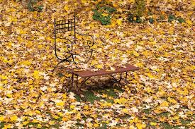 Unser garten im november ist wundervoll. Mein Garten Im Herbst Grafin Von Zeppelin