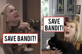 Bj Novak John Krasinski Little League Here S Oscar And Angela From The Office Recreating Their Hilarious Save Bandit Scene