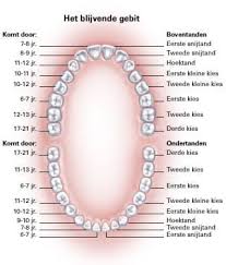 images?q=tbn:ANd9GcReP_pGlUjR4Y51aIhHIJ61-jvV_9-_EgidGh16uCvjZg&s