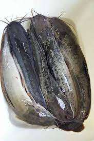 Kisar cili padi bawang, kunyit dan pisang muda yang. Cara Siang Ikan Keli Dengan Betul Viral Media Johor Facebook