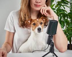 From dogs, cats, birds, fish and even reptiles we have anything you are looking for found in our convenient stores. Pet Sitters International The Leading Pet Sitter Association