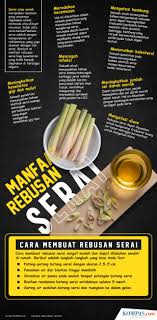 Satu air rebusan serai baik diminum setiap hari. Infografik Manfaat Rebusan Serai