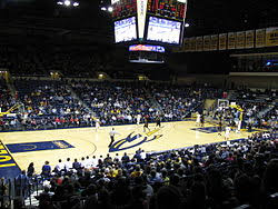 Savage Arena Wikivisually