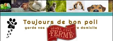 Partir de bon poil -  